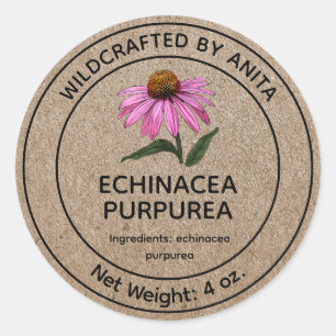 Sticker Rond Echinacea Purpurea Confleur pourpre