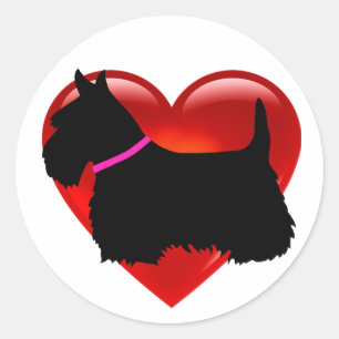 Sticker Rond Écossais Terrier noir/blanc coeur, col rose