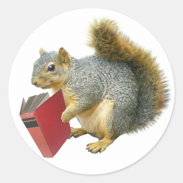 Sticker Rond Écureuil avec livre (Devant)