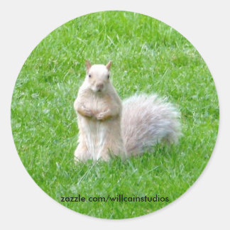 Sticker Rond Écureuil de Blonde