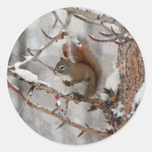 Sticker Rond Écureuil d'hiver, neige et baies rouges Conception