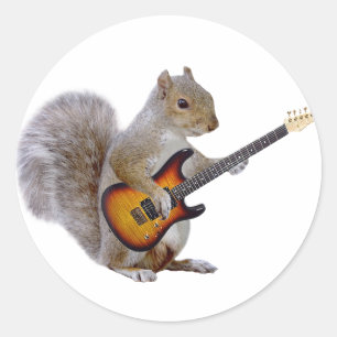 Sticker Rond Écureuil Jouant de la guitare