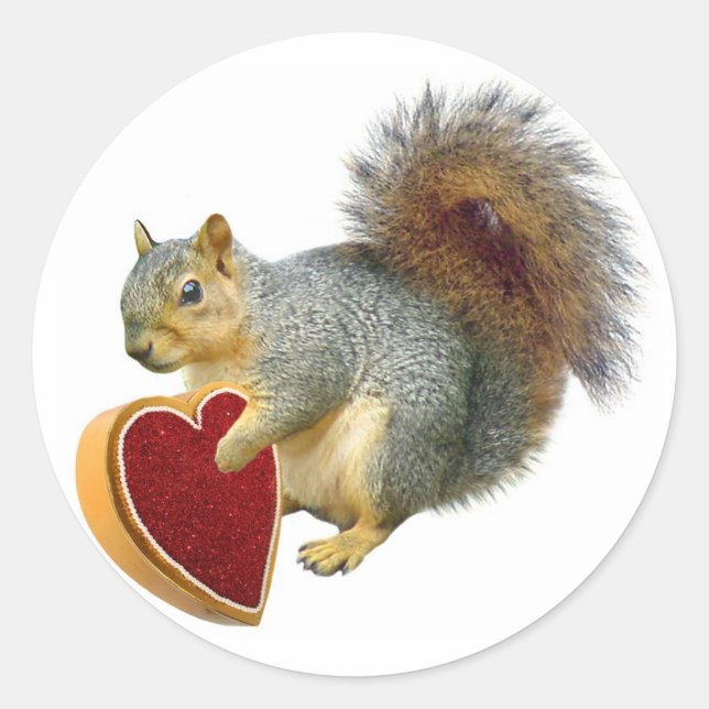 Sticker Rond Écureuil Valentine (Devant)