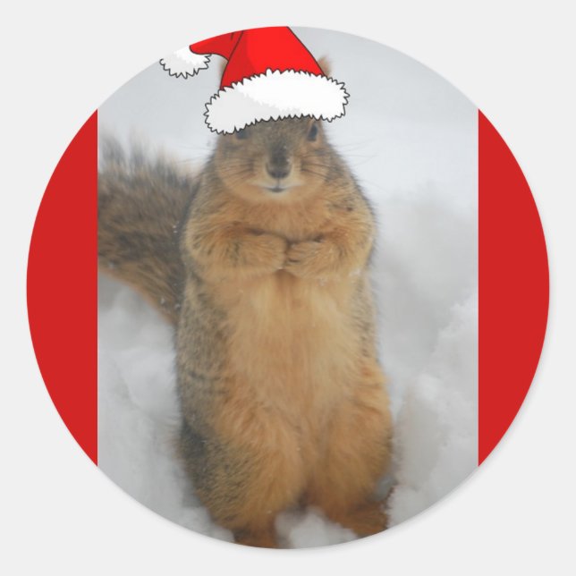 Sticker Rond Écureuils de Noël (Devant)