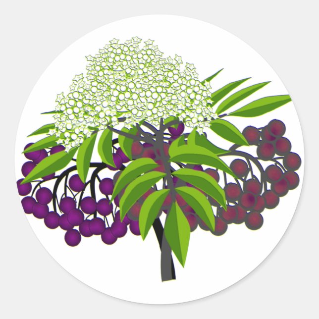 Sticker Rond Elderberry (Devant)