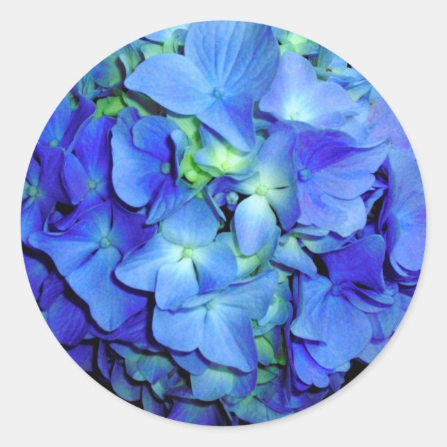 Sticker Rond Elégant bleu floral bleu rose hydrangée bleue (Devant)