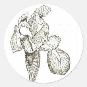 Sticker Rond Élégant Iris