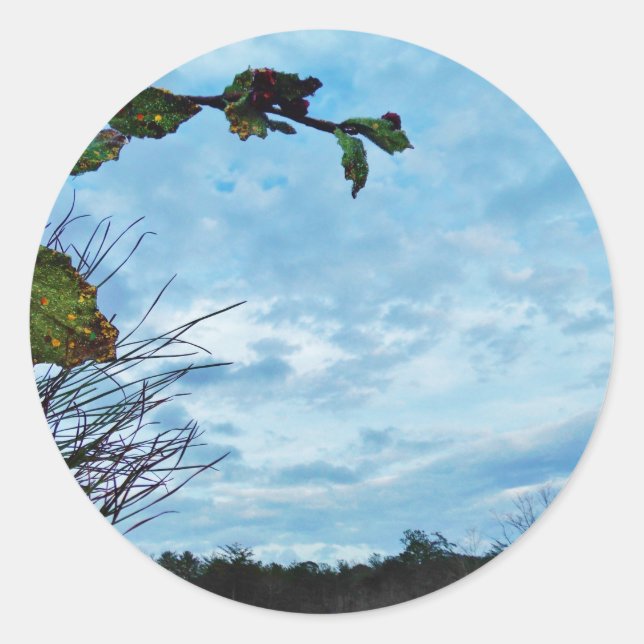 Sticker Rond Élégant Noël Holly, ciel bleu (Devant)