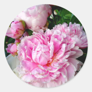 Sticker Rond Elégant rose peony blanc floral jardin photo