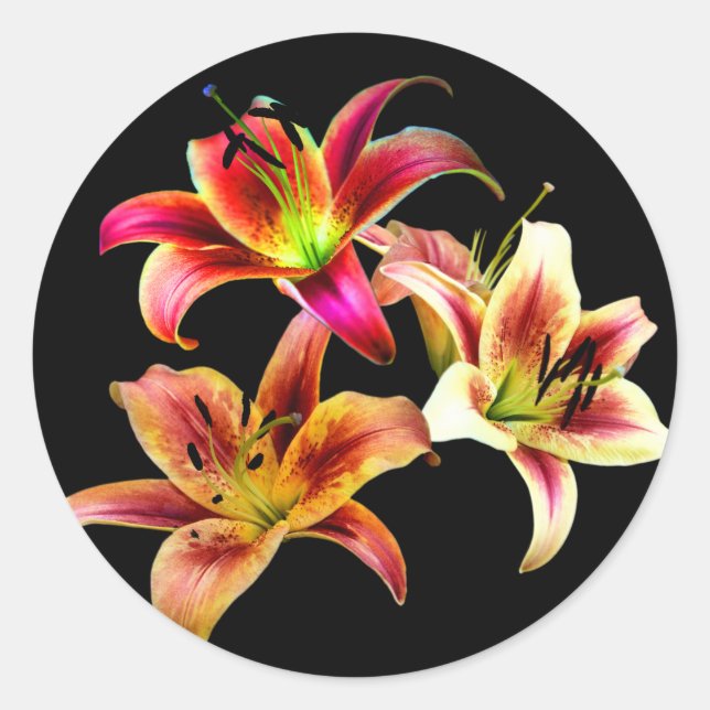 Sticker Rond Elégant trio de jours roses jaunes Floral (Devant)