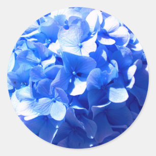 Sticker Rond ElégantCobalt bleu floral élégant hydrangeas