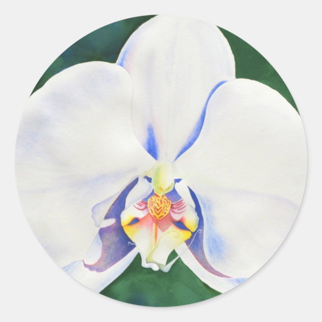 Sticker Rond Elégante aquarelle Orchidée blanche (Devant)
