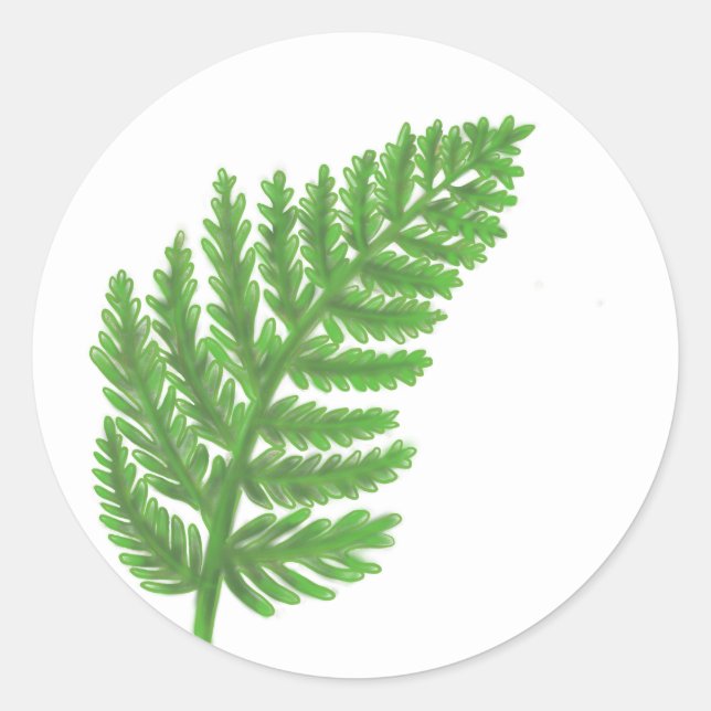 Sticker Rond Élégante fougères vertes feuilles de bois (Devant)