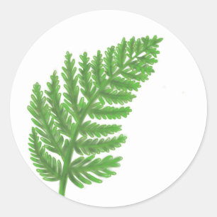 Sticker Rond Élégante fougères vertes feuilles de bois