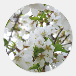 Sticker Rond Elégante photo de fleurs florales blanches