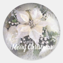 Elégante Poinsettia de Noël argent et blanc