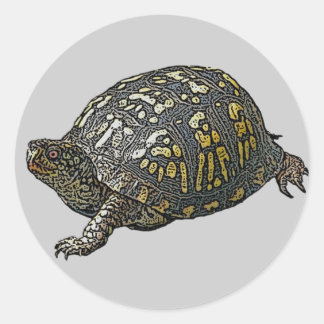 Sticker Rond Éléments de coordination de la tortue de boîte ori
