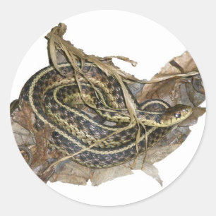 Sticker Rond Eléments de coordination des serpents-garets de l'
