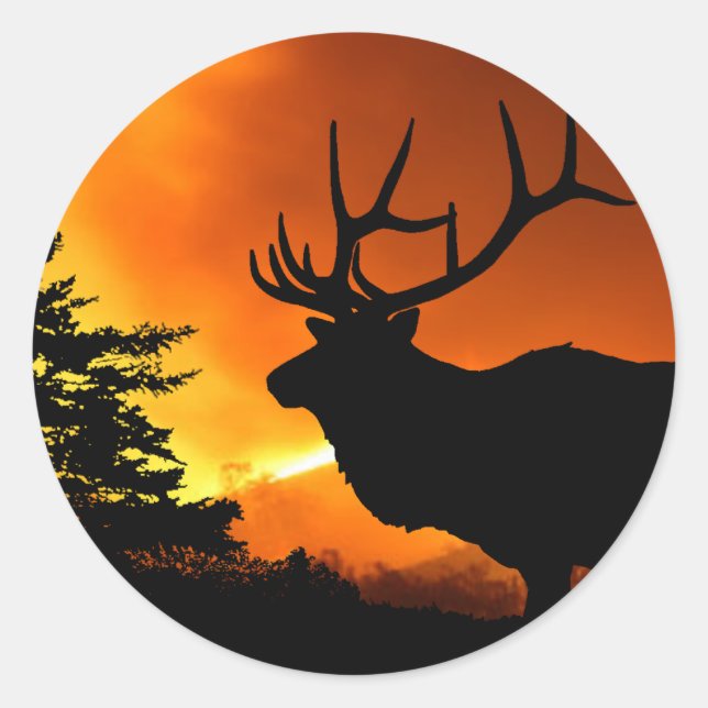 Sticker Rond Elk (Devant)