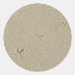 Sticker Rond Empreintes de pas d'oiseau en sable