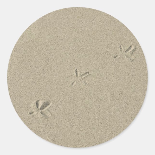 Sticker Rond Empreintes d'oiseaux dans le sable (Devant)