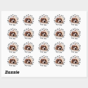 Sticker Rond Empreintes photo de marionnettes