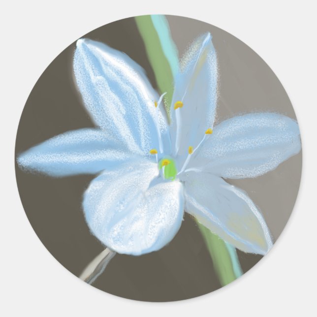 Sticker rond en fleur Plante strié (Devant)
