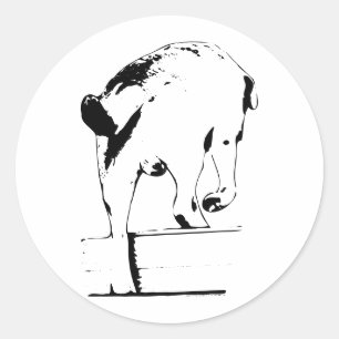 Sticker Rond En Tête Assez Cosy