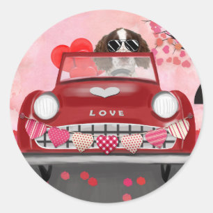 Sticker Rond English Springer Spaniel Cœurs de la Saint-Valenti