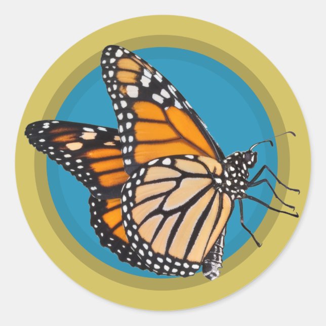 Sticker Rond Enregistrer le papillon Monarque (Devant)