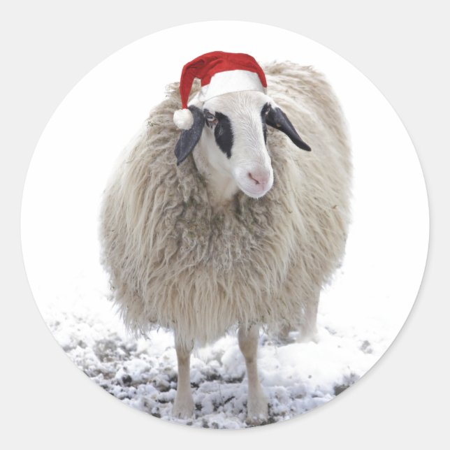 STICKER ROND ENVELOPPE DE MOUPE DE NOËL (Devant)
