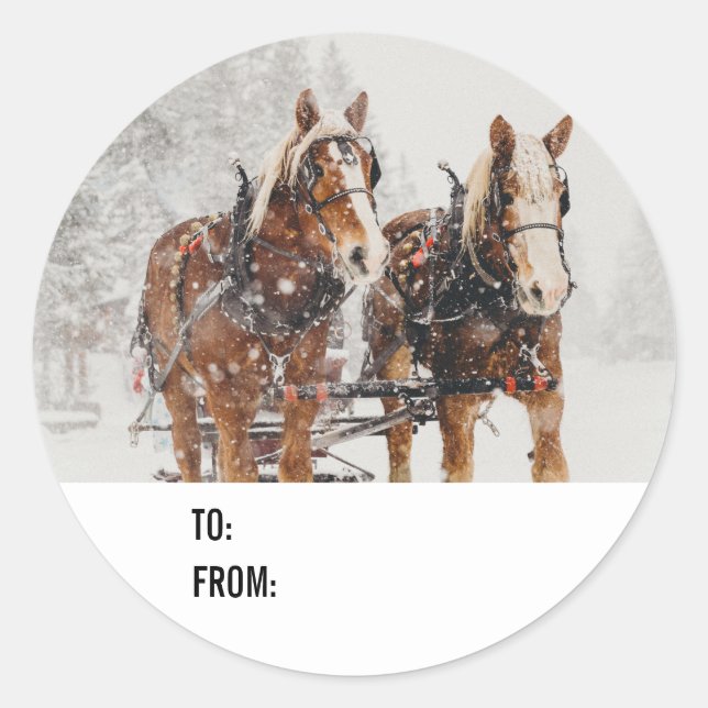Sticker Rond Équipe de Belgique de cheval Wintery Christmas Sce (Devant)