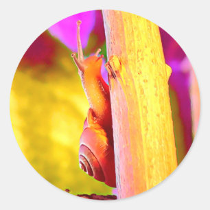 Sticker Rond Escargot