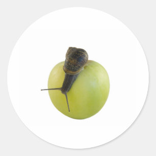 Sticker Rond Escargot et pomme