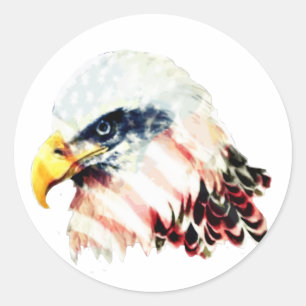 Sticker Rond Etats-Unis American Flag Bald Eagle Design