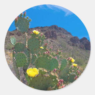 Sticker Rond États-Unis, Arizona. Cactus dans les collines