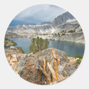 Sticker Rond États-Unis, Californie, forêt nationale d'Inyo.