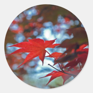 Sticker Rond États-Unis, Kansas. Couleurs d'automne