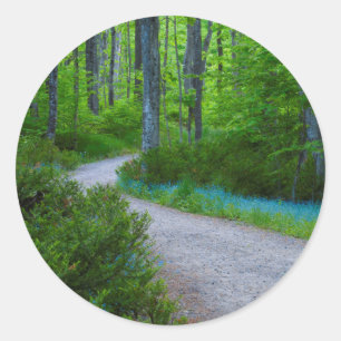 Sticker Rond États-Unis, Michigan. Chemin à travers les bois