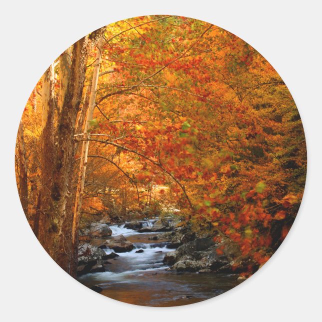 Sticker Rond États-Unis, Tennessee. Rushing Mountain Creek (Devant)