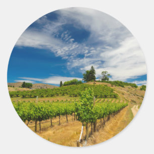 Sticker Rond États-Unis, Washington, lac Chelan. Vignoble 3