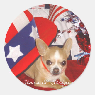 Sticker Rond Étoiles et rayures Chihuahua Pin