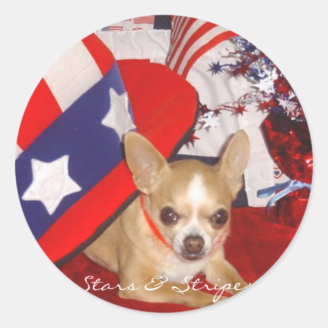Sticker Rond Étoiles et rayures Chihuahua Pin (Devant)