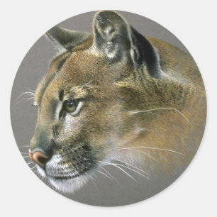 Sticker Rond Étude sur le cougar
