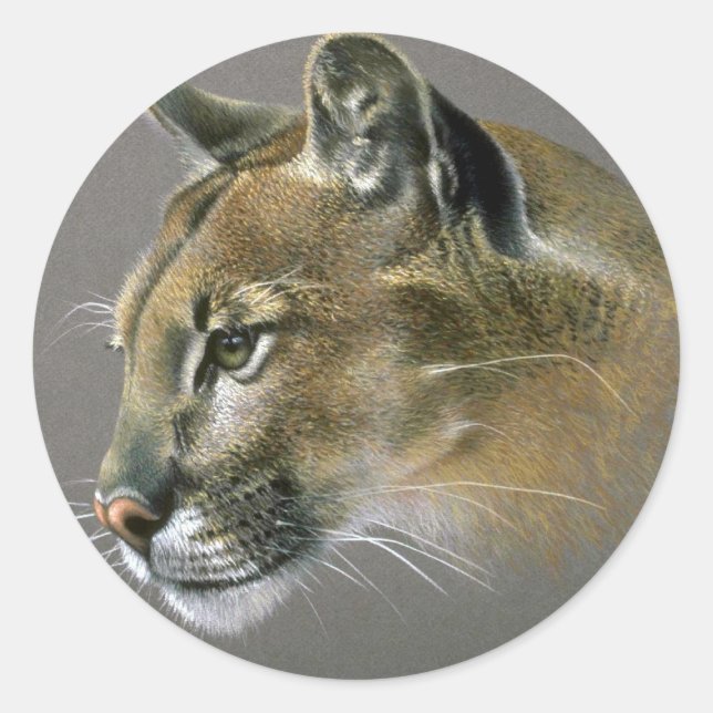 Sticker Rond Étude sur le cougar (Devant)