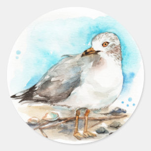 Sticker Rond Étude sur le goéland 2