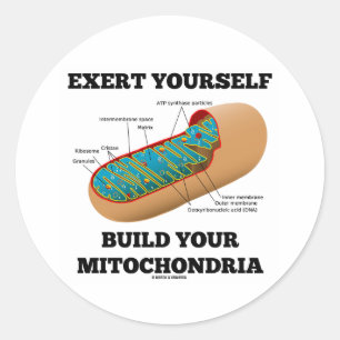 Sticker Rond Évitez De Construire Vos Mitochondries