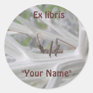 Sticker Rond Ex librisStickers Reduviid Peeking