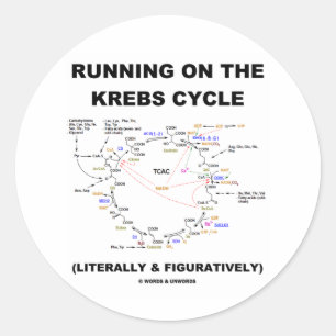 Sticker Rond Exécution Sur Le Cycle Krebs (Humour Scientifique)