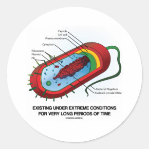 Sticker Rond Existant Dans Des Conditions Extrêmes Très Longtem